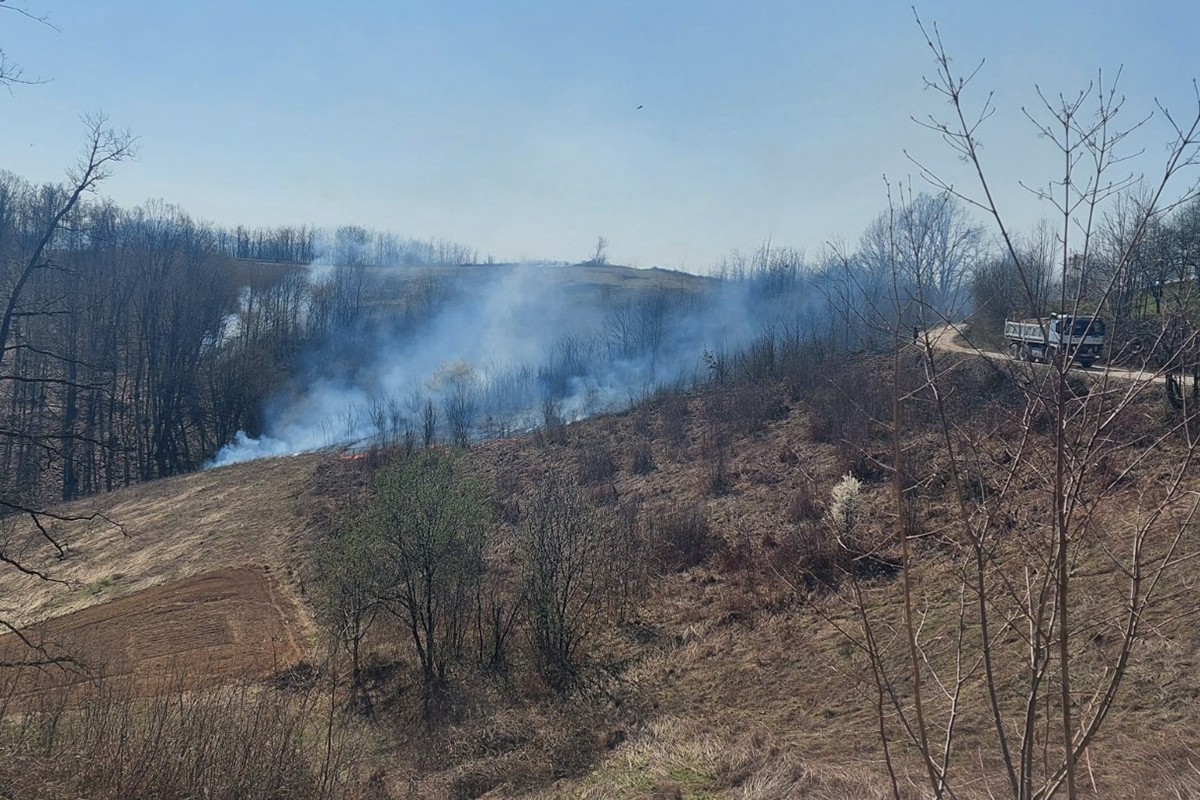 Požar na Čokorskim poljima, stigli vatrogasci