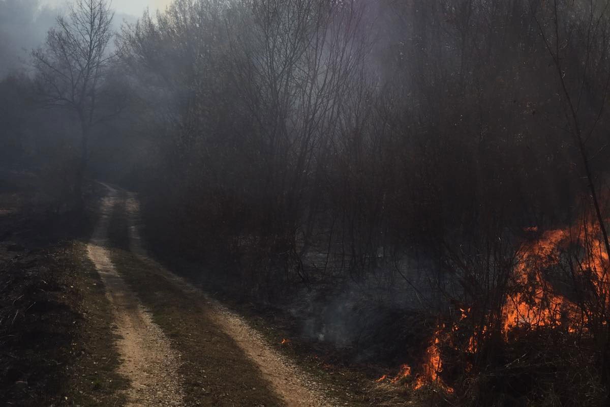 Požari u Srpskoj uglavnom ugašeni ili pod kontrolom