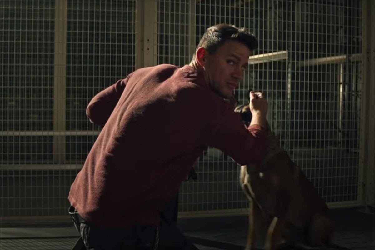 Osvojite ulaznice za film "Dog"