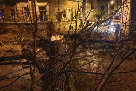 Srušilo se ogromno stablo kod gradskog parka u Bijeljini
