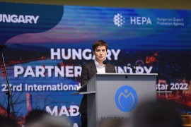 Brnabić: Ne znam da li ću ostati premijerka