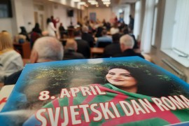 Kulturni identitet Roma nestaje