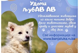 Psi iz banjalučkog azila čekaju nove vlasnike