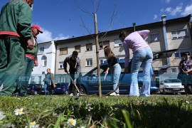 Banjalučki gimnazijalci povodom 55 godina mature posadili stabla