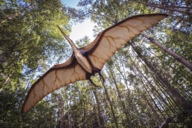 Pronađen fosil koji potvrđuje da je asteroid zbrisao dinosauruse sa ...