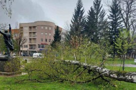 Nevrijeme u Prijedoru: Vjetar čupao stabla, oštećena Tržnica