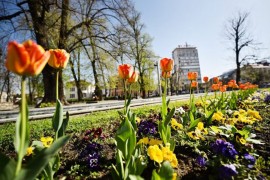Festival cvijeća otvara "Banjalučko proljeće"