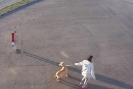 Dubičanka optužena zbog davljenja psa
