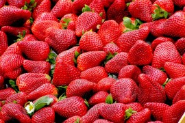 Oprala jagode u slanoj vodi, začuđeno gledala što se u njima sve ...