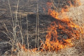 Požar kod graničnog prelaza sa Crnom Gorom
