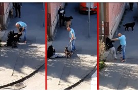Određeno zadržavanje muškarcu: Brutalno pretukao ženu i njenog psa ...