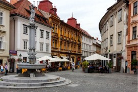 U Sloveniji glasalo 21,05 odsto birača