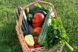 6 namirnica koje su pune vitamina i minerala