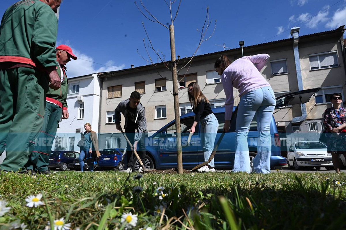 Banjalučki gimnazijalci povodom 55 godina mature posadili stabla