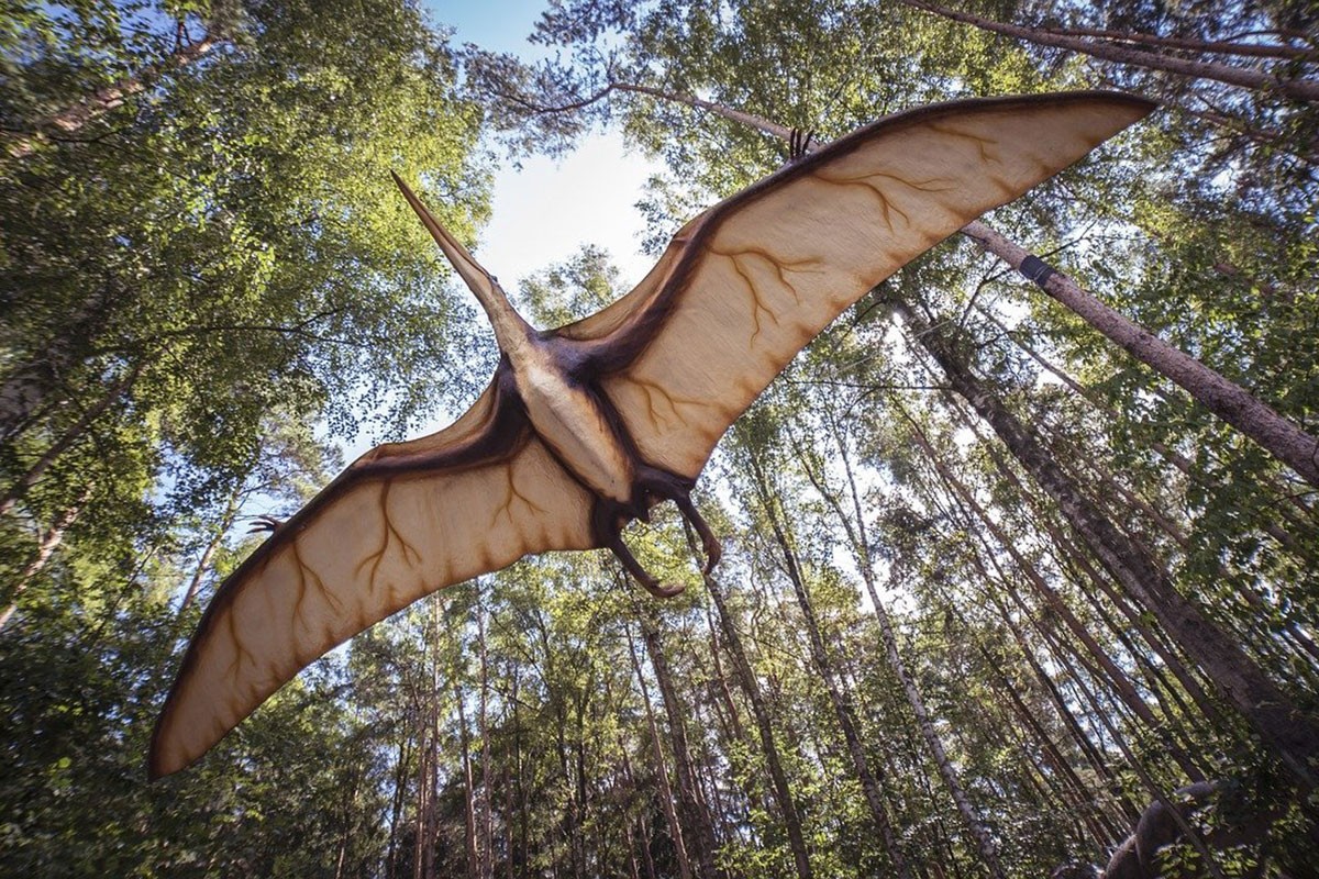 Pronađen fosil koji potvrđuje da je asteroid zbrisao dinosauruse sa Zemlje?