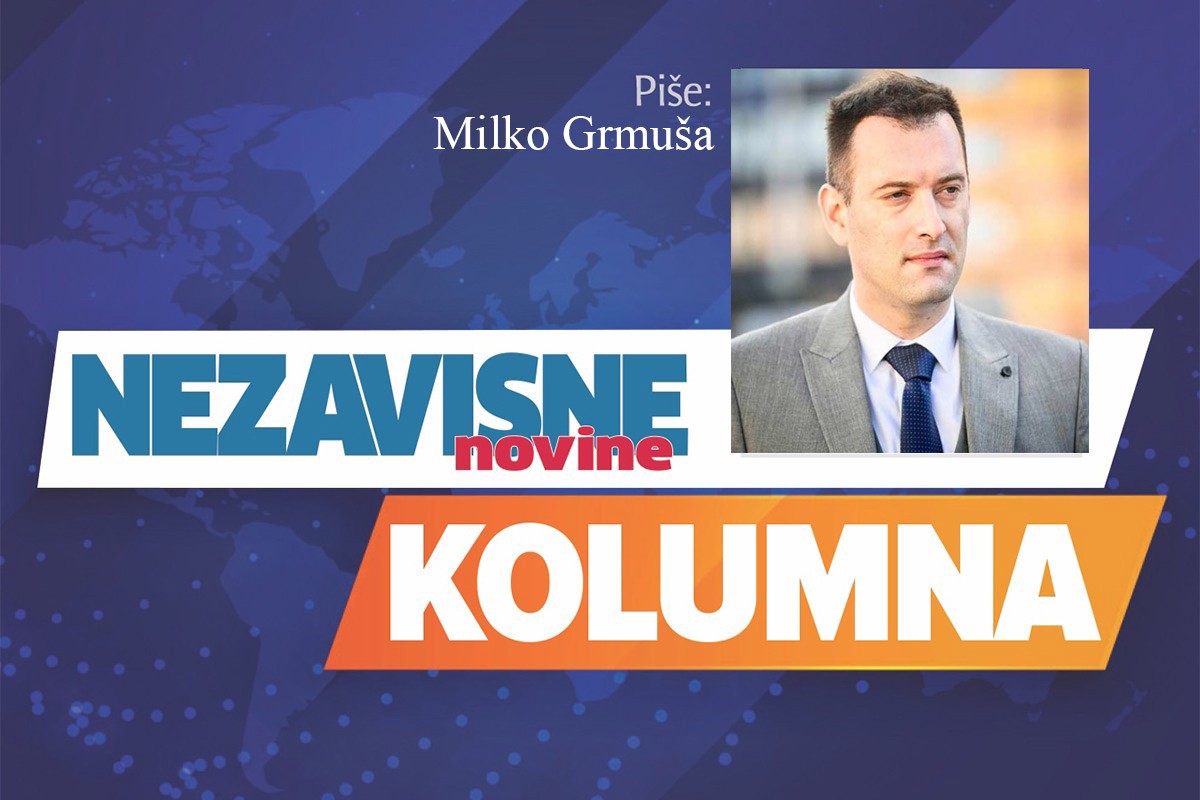 Državnički pristup