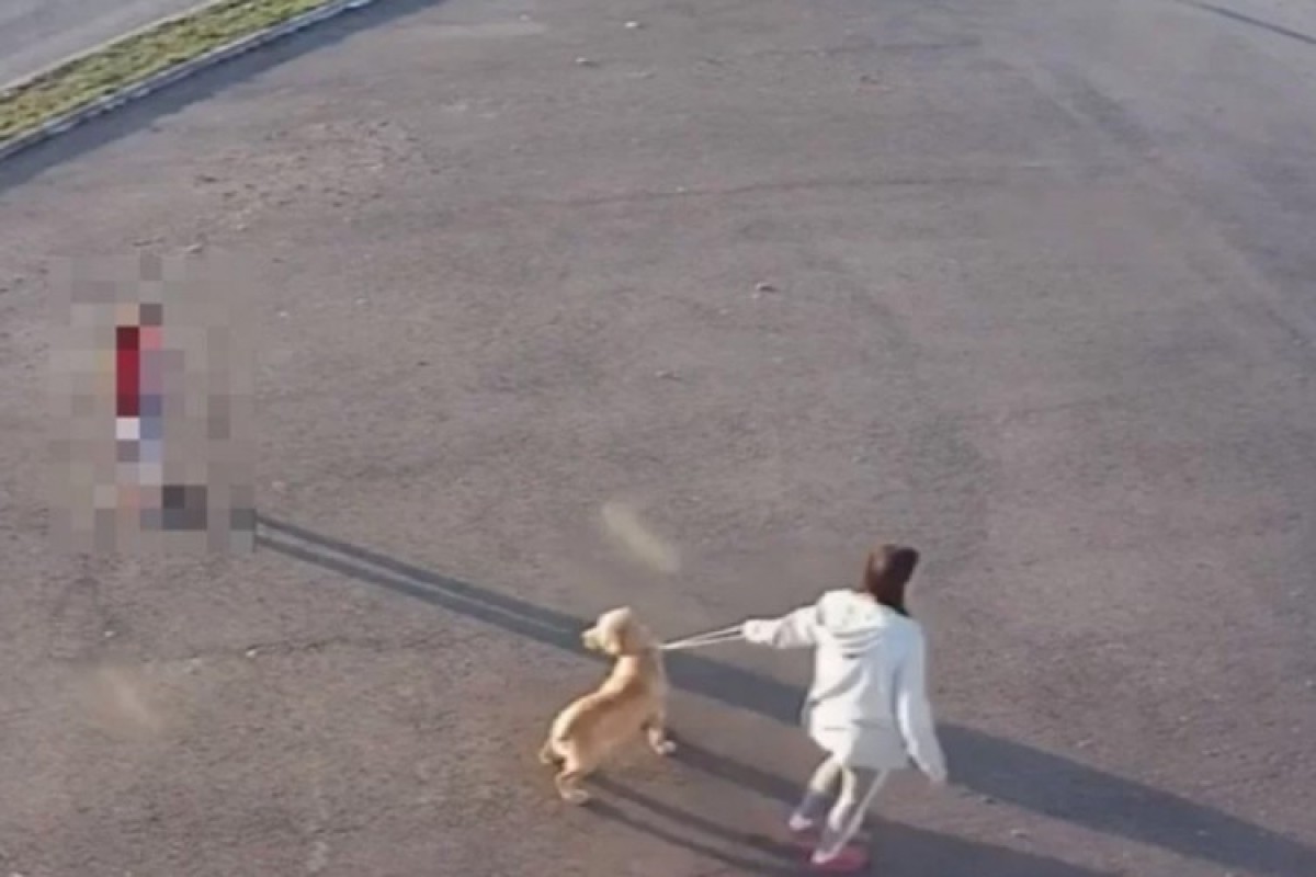 Dubičanka optužena zbog davljenja psa