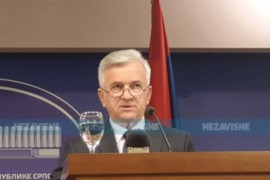Čubrilović: Srpski narod dao nemjerljiv doprinos u borbi protiv ...