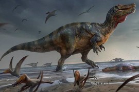 Pronađen do sada najveći kopneni dinosaurus