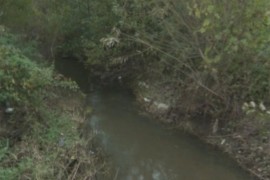 Počelo čišćenje korita rijeke Miloševice