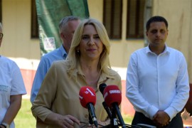 "Vrijeme da BiH malo pomogne EU da bi ona mogla da pomogne nama"
