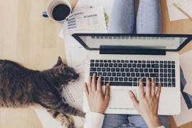 Odzvonilo ilegalnoj prodaji na internetu