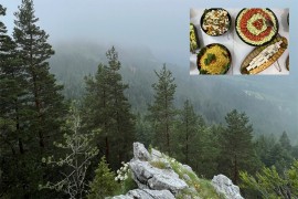 "Kuhinjica" na Jahorini: Ukusni zalogaji u zagrljaju prirode ostavljaju ...