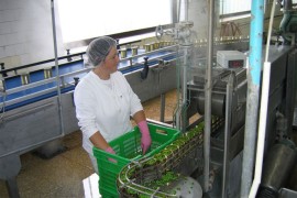 Nabavka ambalaže diktira otkup sirovina