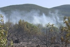 Požar u selu Necvijeće kod Trebinja je pod kontrolom