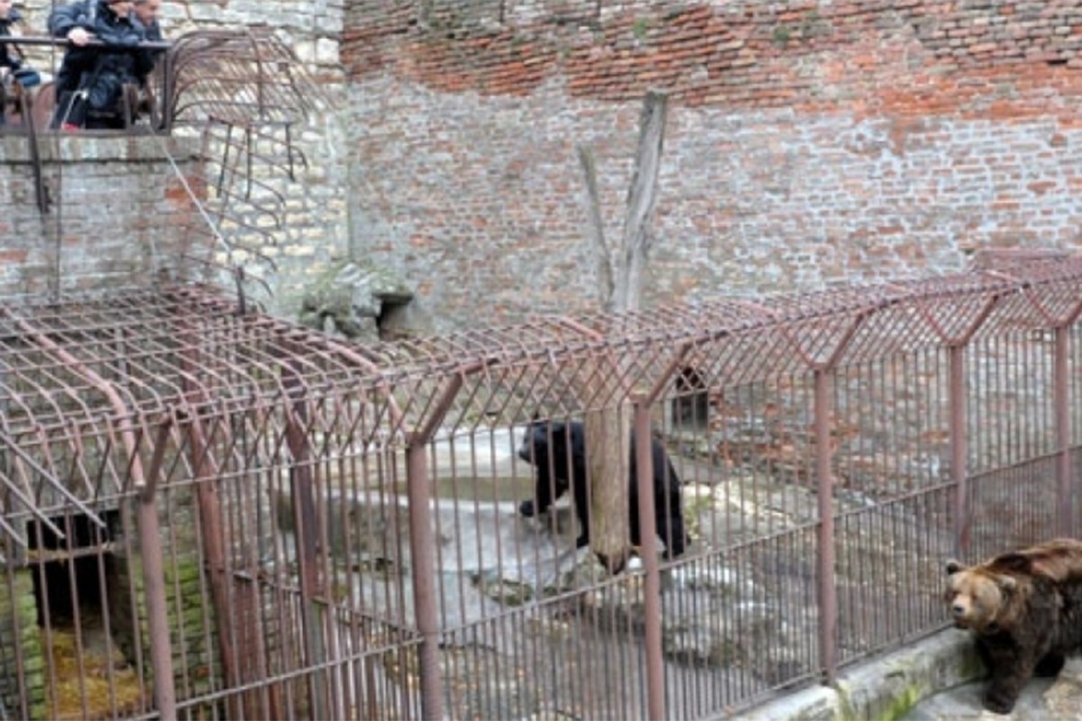 Dojava o bombi u beogradskom Zoološkom vrtu