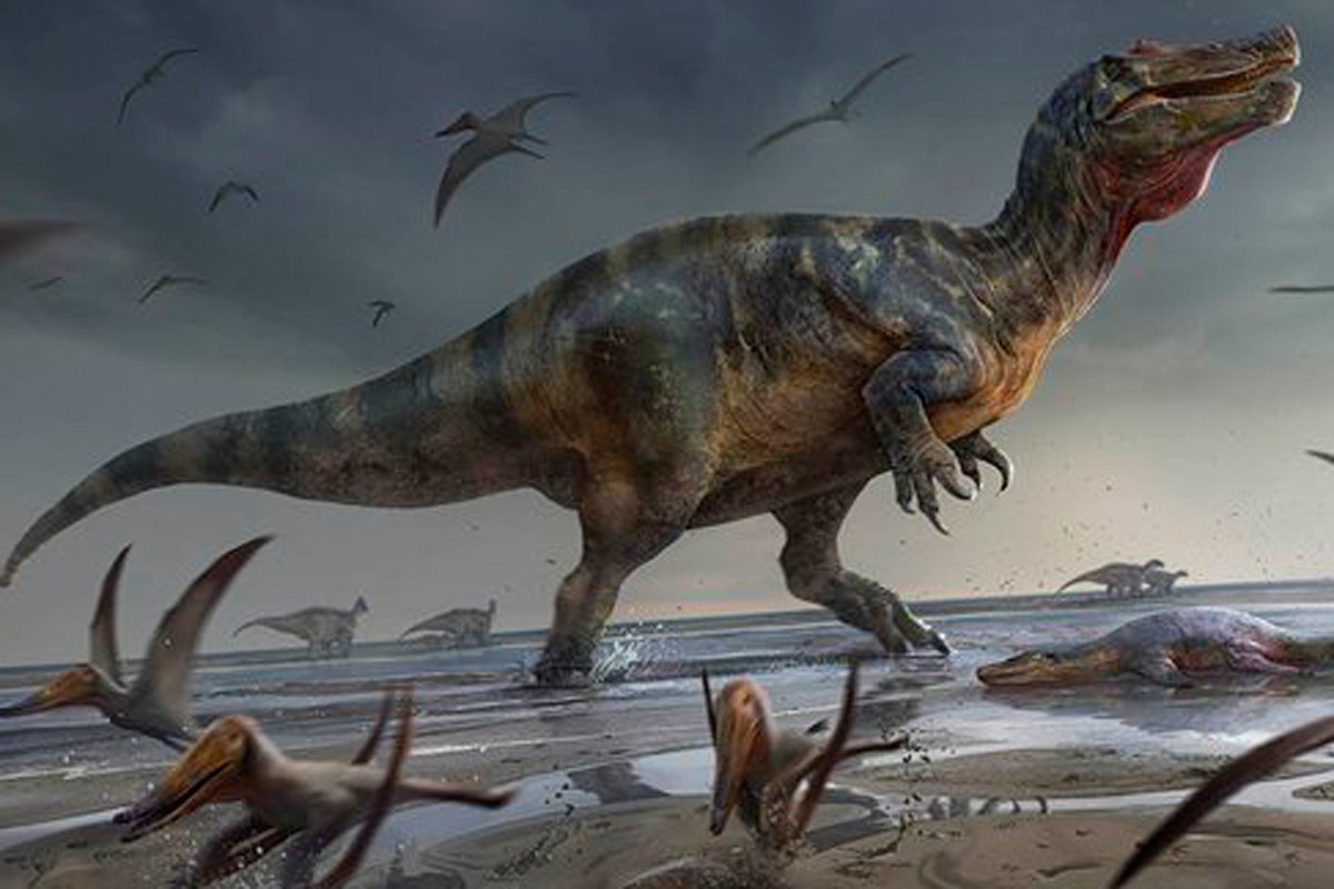 Pronađen do sada najveći kopneni dinosaurus