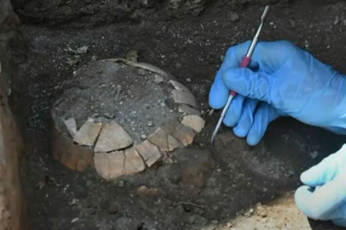 Neobičan nalaz u Pompeji, pronađeni kornjača i njeno jaje