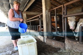 Mještani banjalučkog naselja ne vjeruju obećanju: 300 kuća 15 dana ...