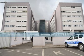 U UKC-u nema vakcina protiv bjesnila