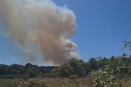 Veliki požar na Viru prijetio kućama