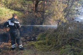 Pod kontrolom požar na Viru