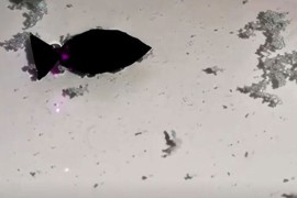 Kineski naučnici napravili ribu robota koji guta mikroplastiku