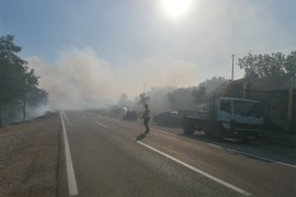 Vatrogasci od vatrene stihije odbranili najstariju kafanu u Hercegovini