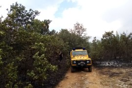 Vatrogasci spriječili prodor vatre prema solarnoj elektrani Zupci