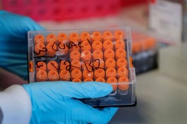 U FBiH na korona virus pozitivno 205 osoba