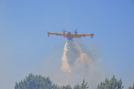 Vatra progutala više od 20.000 hektara šume u Francuskoj