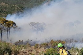 Požari u Evropi jenjavaju usljed pada temperature