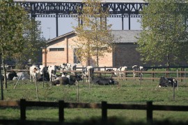 Milionski dugovi gurnuli "Farmland" u provaliju