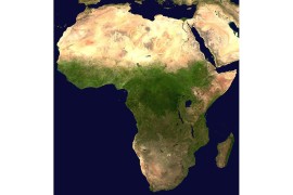 Kina u Africi gradi puteve, EU broji insekte
