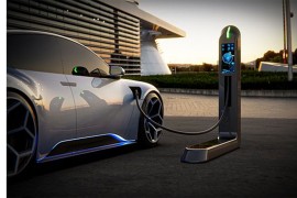 Do kraja godine bez carine na električna auta