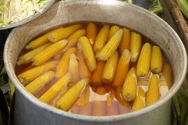 Trik za najukusniji kuvani kukuruz
