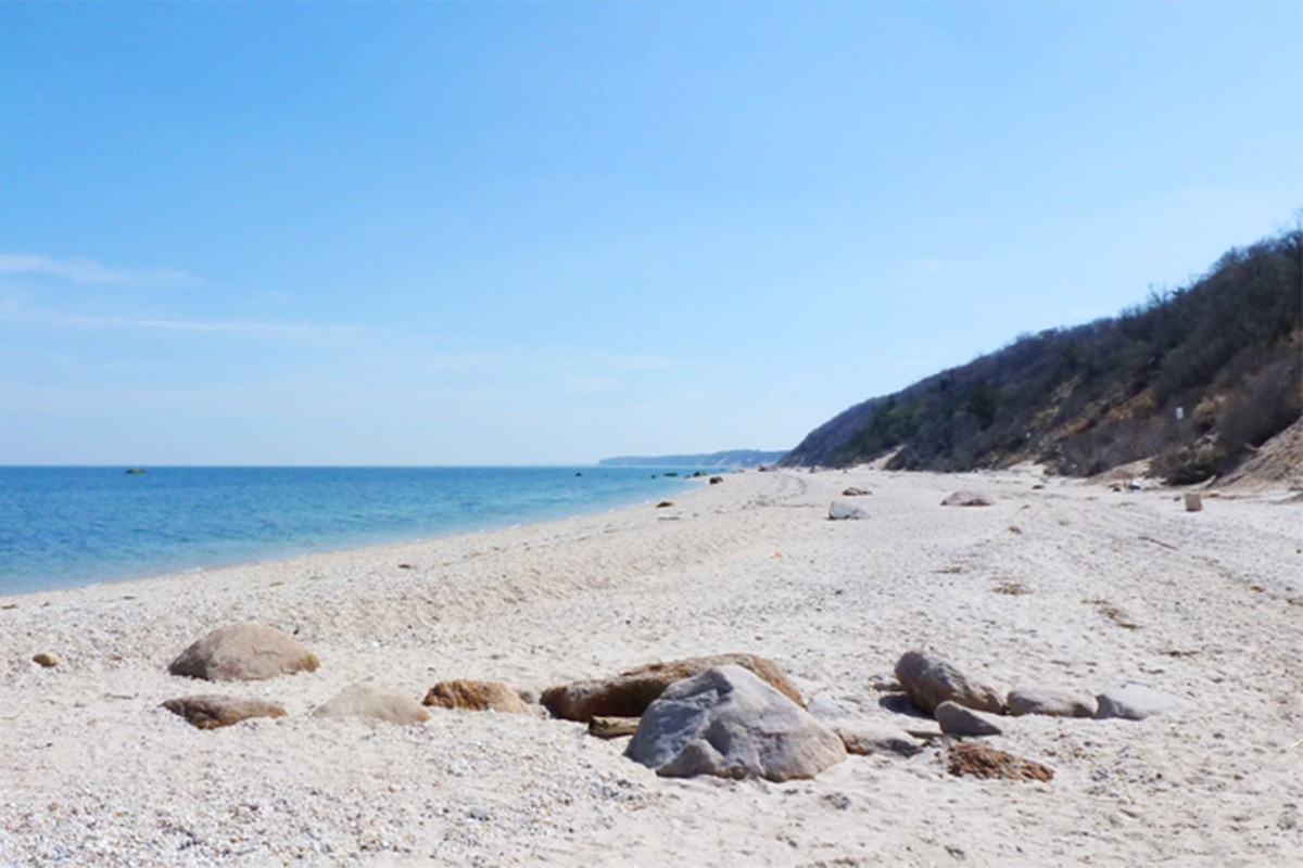 Zatvorena plaža u Njujorku zbog napada ajkule