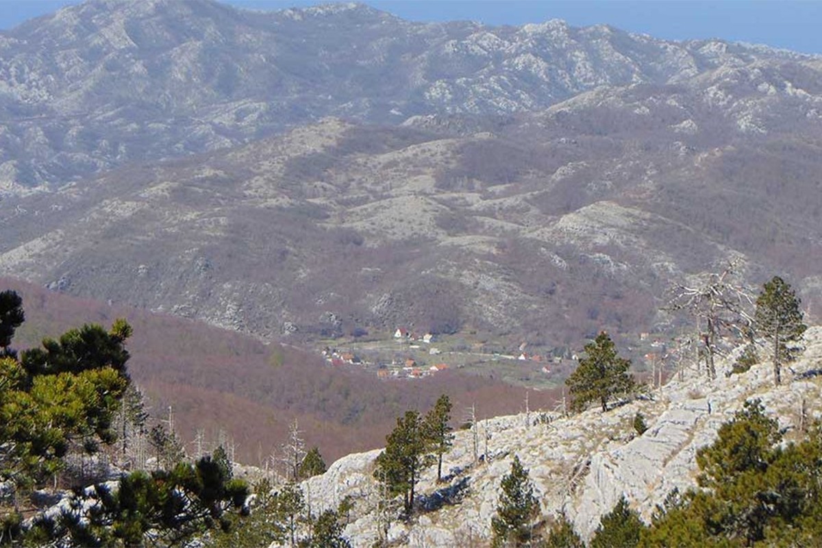 Gori u rejonu parka prirode Orjen, ugrožene dragocjene vrste šume
