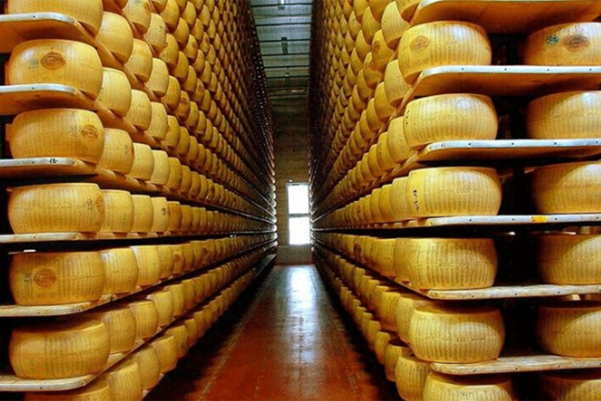 U Italiji postoji banka sira, kredit i dugove možete plaćati u parmezanu