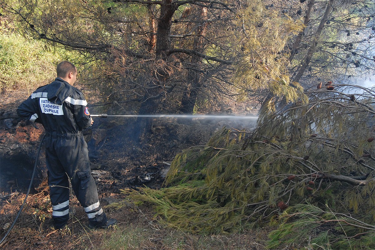 Pod kontrolom požar na Viru